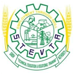 Sindh Technical Education Authority logo